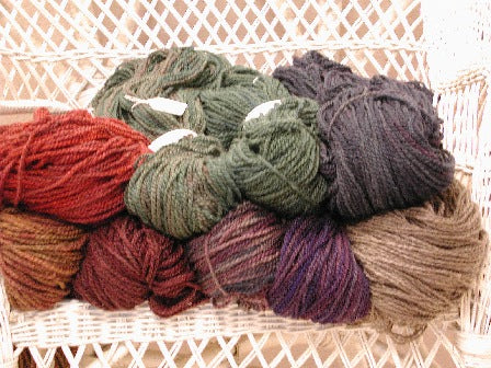 Yarn Sampler, Jacob's Pride