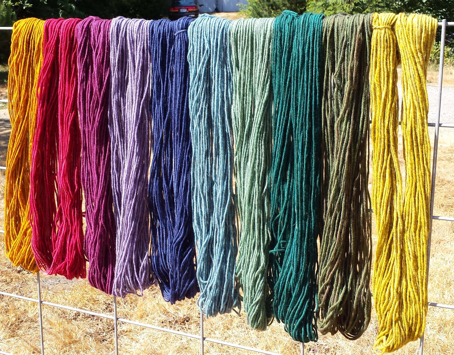 Yarn Sampler, Rustic Rainbow