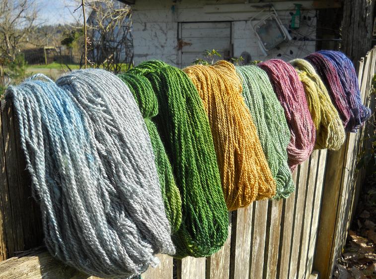 Yarn Sampler, Ewenique